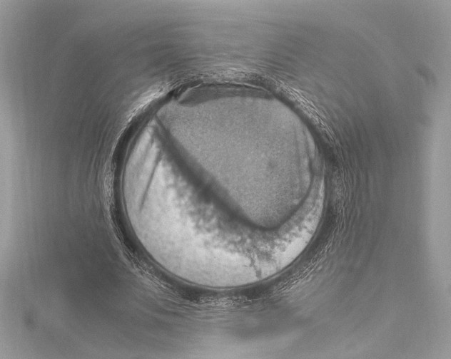 X0000115560679200912041053