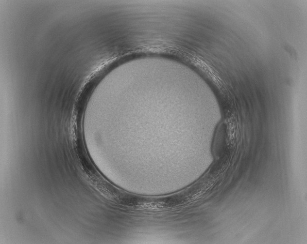 X0000115560680200912041053