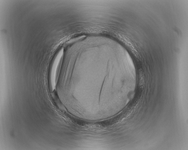 X0000115560681200912041053