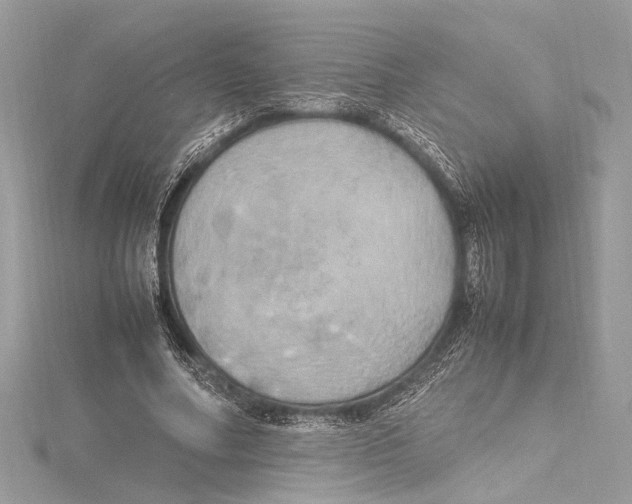 X0000115560682200912041053