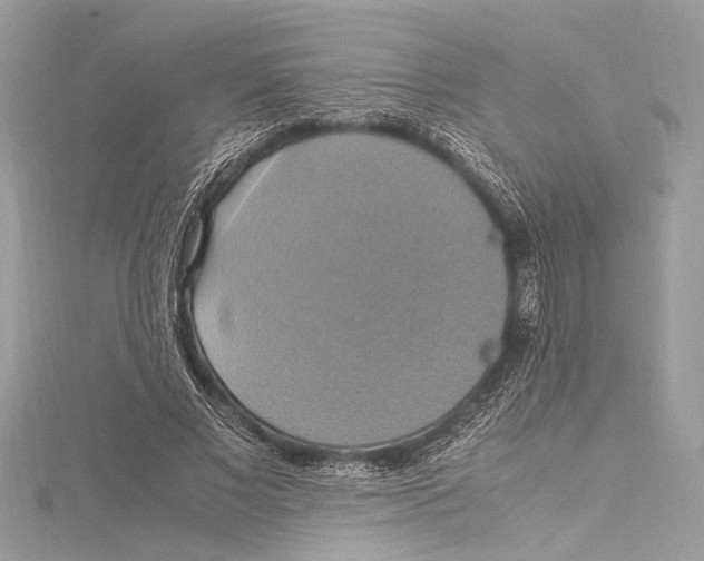 X0000115560685200912041053