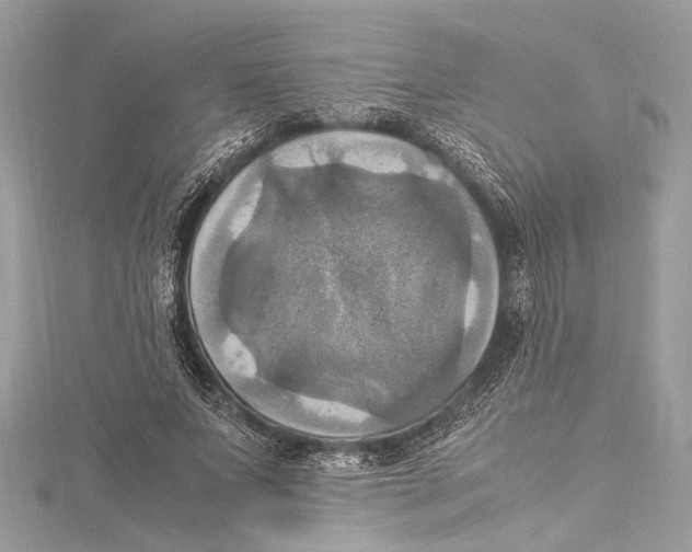 X0000115560687200912041053