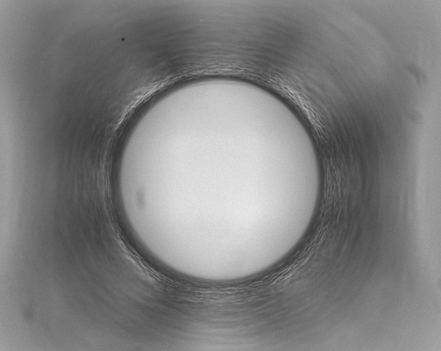 X0000115560688200912041053