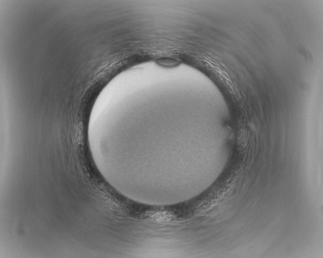 X0000115560689200912041053