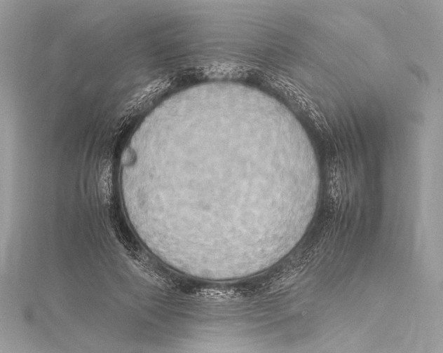 X0000115560690200912041053