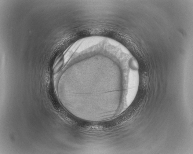 X0000115560691200912041053