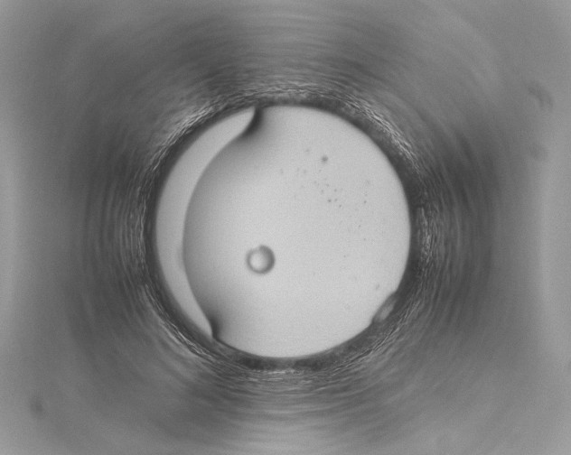 X0000115560692200912041053