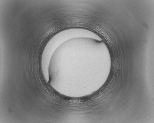 X0000115560693200912041053