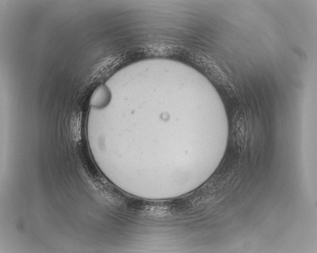 X0000115560694200912041053