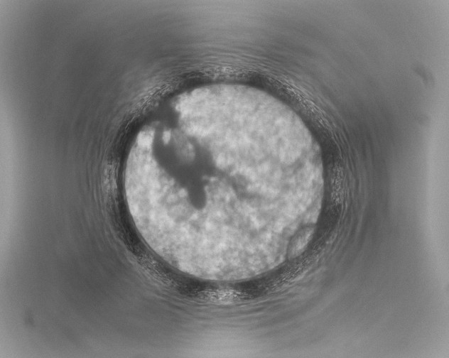 X0000115560695200912041053