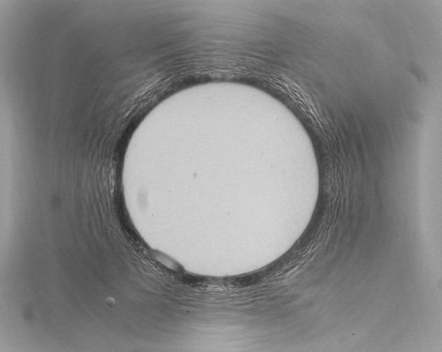 X0000115560697200912041053