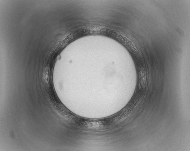 X0000115560698200912041053