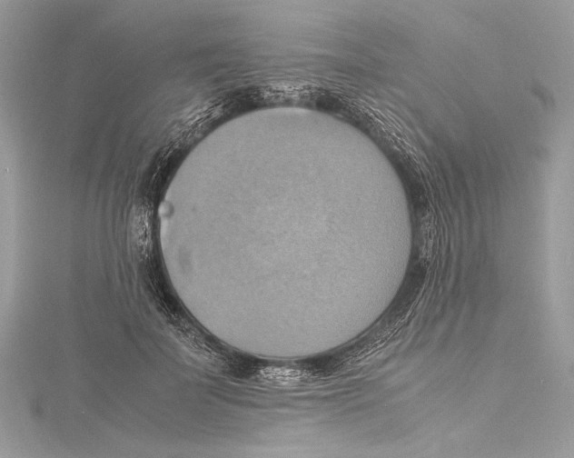 X0000115560699200912041053