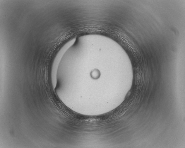 X0000115560700200912041053