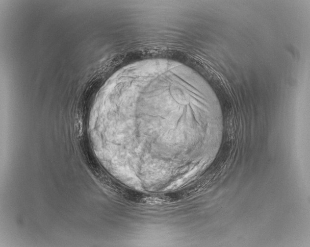 X0000115560703200912041053