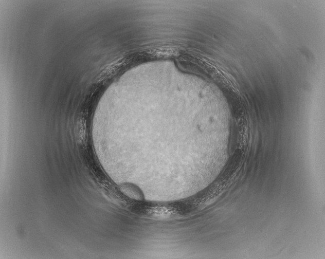 X0000115560704200912041053