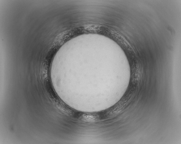 X0000115560706200912041053