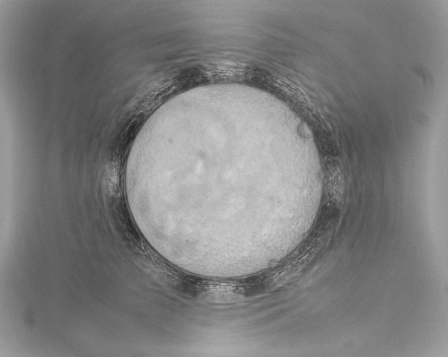 X0000115560709200912041053