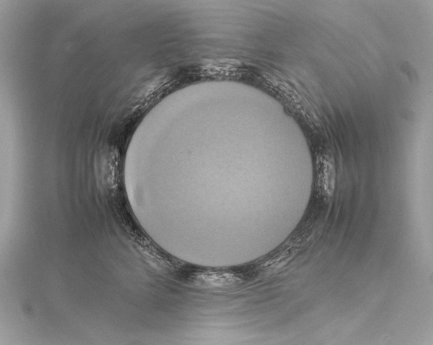 X0000115560712200912041053