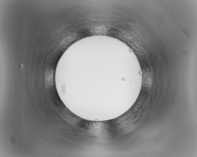 X0000115560717200912041053