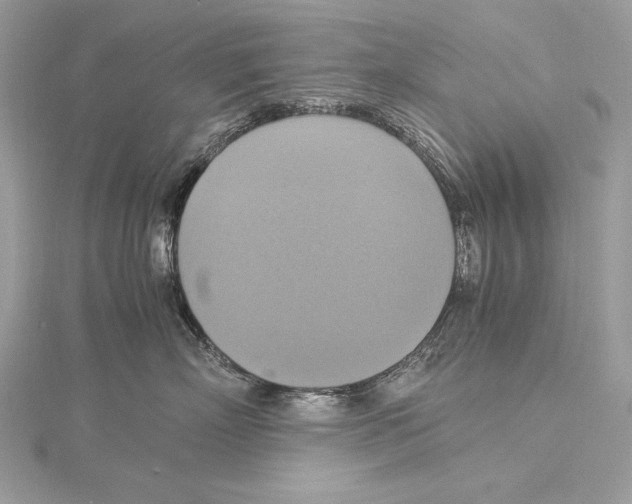 X0000115560718200912041053