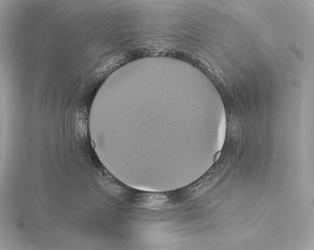 X0000115560719200912041053