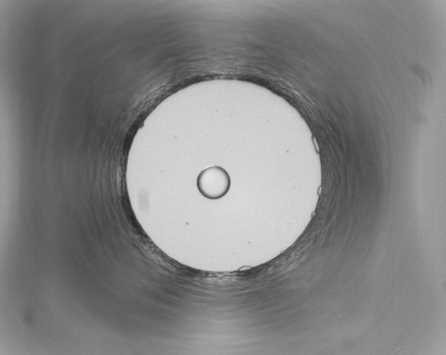 X0000115560720200912041053