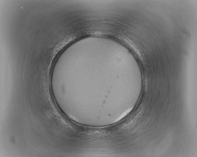 X0000115560721200912041052