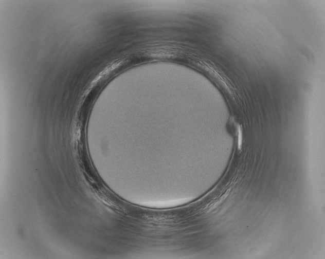 X0000115560723200912041052