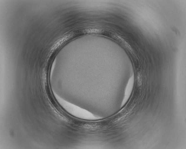 X0000115560725200912041052