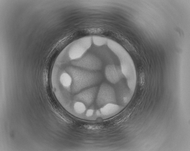 X0000115560733200912041052