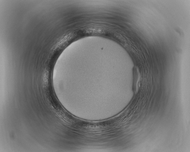 X0000115560735200912041052