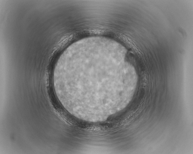 X0000115560738200912041053