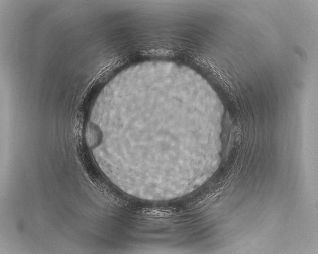 X0000115560739200912041053