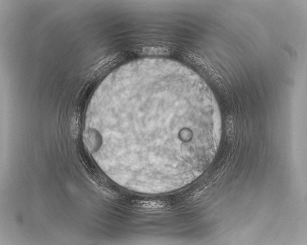 X0000115560741200912041053