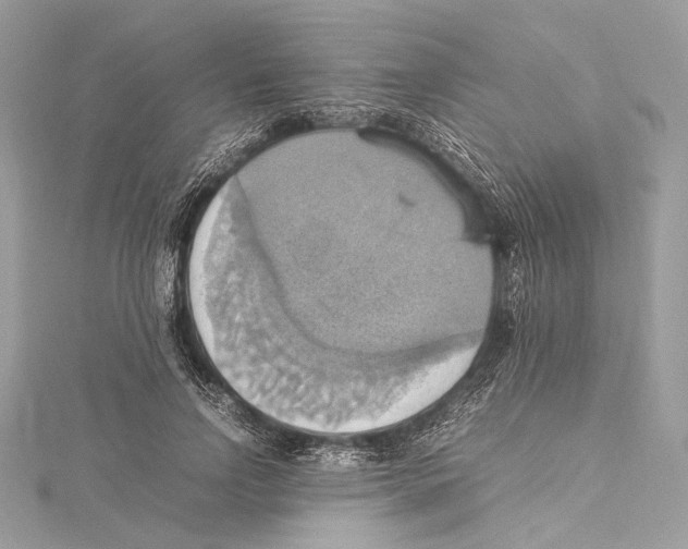 X0000115560742200912041053