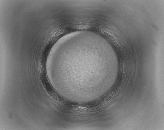 X0000115560743200912041053