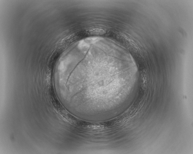 X0000115560745200912041053