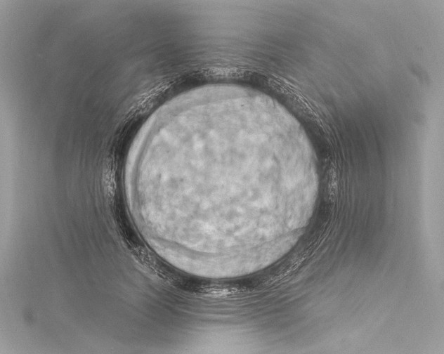 X0000115560746200912041053