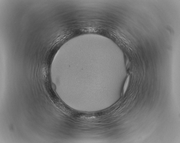 X0000115560747200912041053