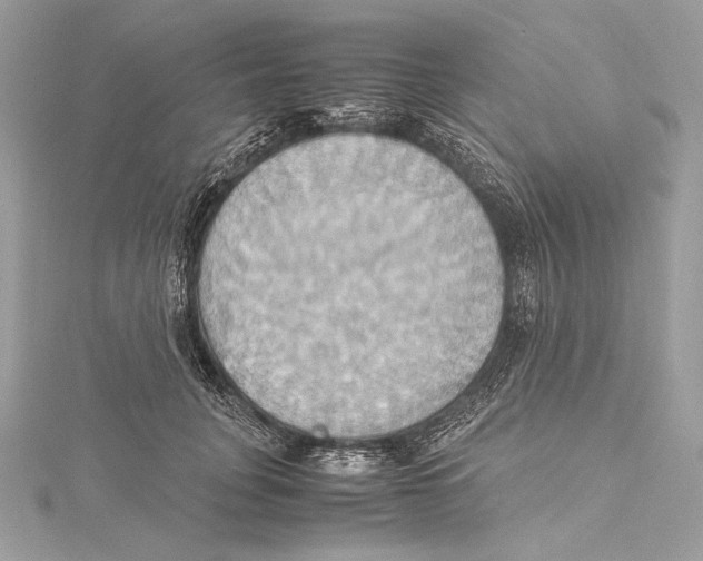 X0000115560751200912041053