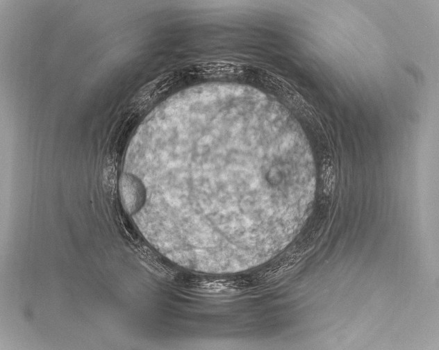 X0000115560753200912041053