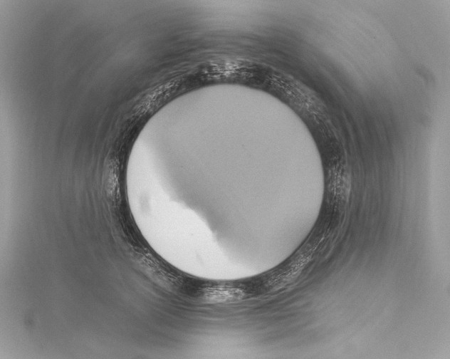 X0000115560754200912041053