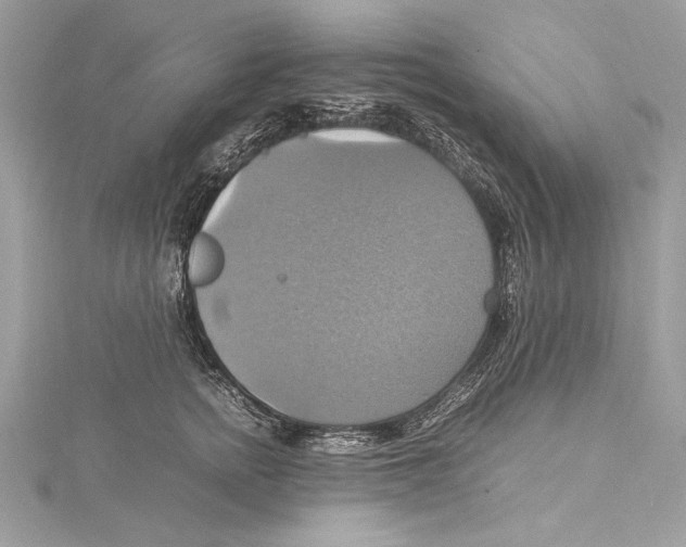 X0000115560758200912041053