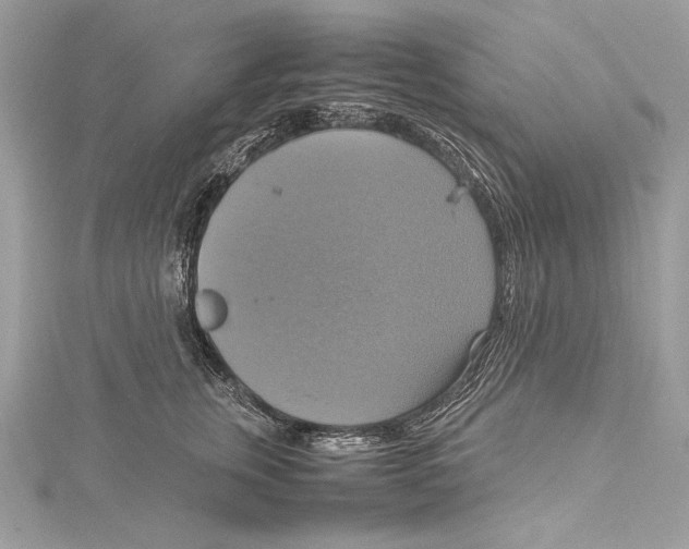 X0000115560759200912041053