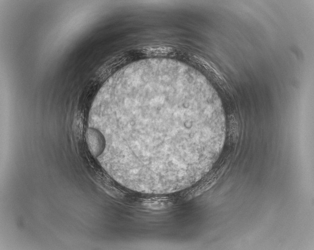 X0000115560761200912041053