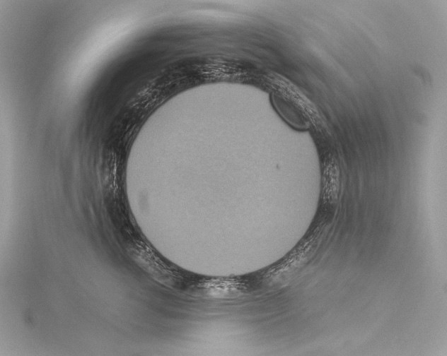 X0000115560762200912041053