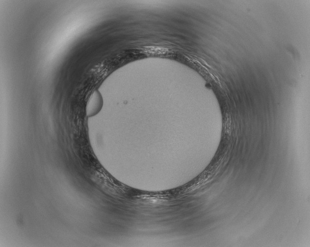 X0000115560763200912041053