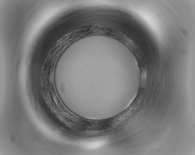 X0000115560765200912041053