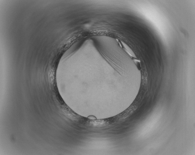 X0000115560767200912041053